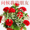 Obol (OBOL)是什么？功能解析与项目概览一文读懂