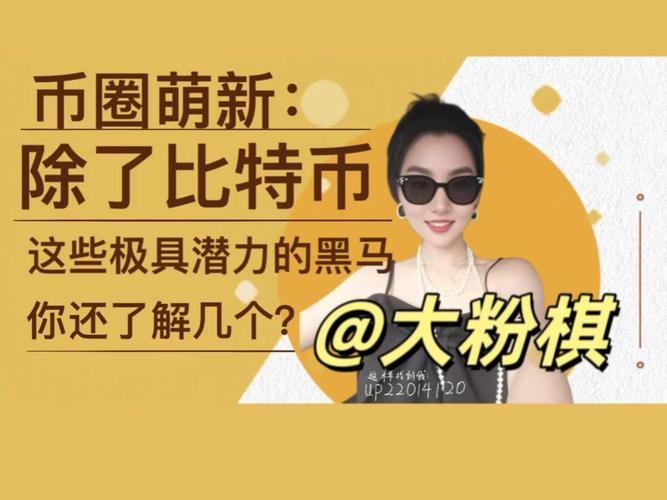 Layer1伪装术：加密应用「碰瓷」公链现象背后意味着什么？