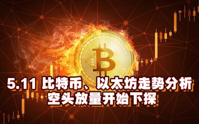 Pi持币等级解读：从巨鲸到虾米，Pi币分层生态究竟如何运作？