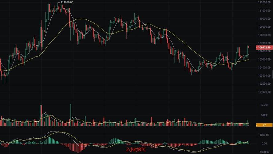 独家对话TON基金会新任CEO Max Crown，他在美国的布局真的会带来大动作吗？